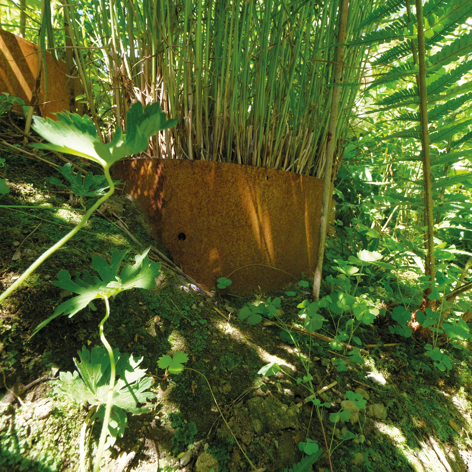 Hangpflanzschale COLLINA Corten
